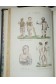 Oeuvres Complètes de Buffon : Histoire naturelle des Minéraux, Animaux, Oiseaux. Planches coloriées, 7 vol. + 1 Lacépède