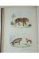 Oeuvres Complètes de Buffon : Histoire naturelle des Minéraux, Animaux, Oiseaux. Planches coloriées, 7 vol. + 1 Lacépède