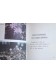 I want to know about... Weeds and wildflowers and Soccer - A new true book - 1981 -