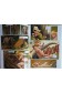 Shanna - Marvel France/Panini Comics - Album - Frank Cho - 2006 - TTBE -