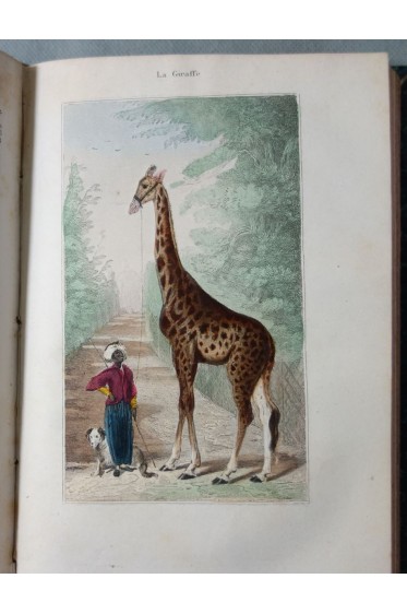 Oeuvres Complètes de Buffon 9 tomes avec PLANCHES COULEURS - Histoire naturelle des Animaux...