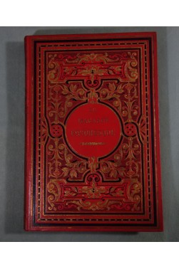 Beau CARTONNAGE - Le MAGASIN PITTORESQUE 1881 et 1882 - illustré, gravures. CHARTON