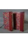 2 BELLES RELIURES - C. WAGNER. Vaillance - Le long chemin. Librairie Fischbacher