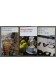 lot: Le bonheur + Le trottoir au soleil + Dickens, barbe à papa -