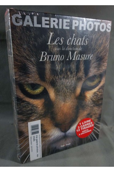 Les chats - Galerie photos - Bruno Masure