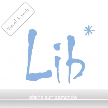 Un Père singulier [Broché]