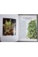 Plantes et fleurs d'appartement