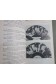 Livre VII de la République - Platon - Les intégrales de Philo/Nathan, 1988 -