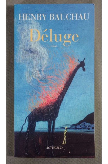 Deluge - Henry Bauchau - Actes Sud, 2010 - Roman -