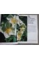 Roses sauvages - Monica Becker - 1992, illustré -