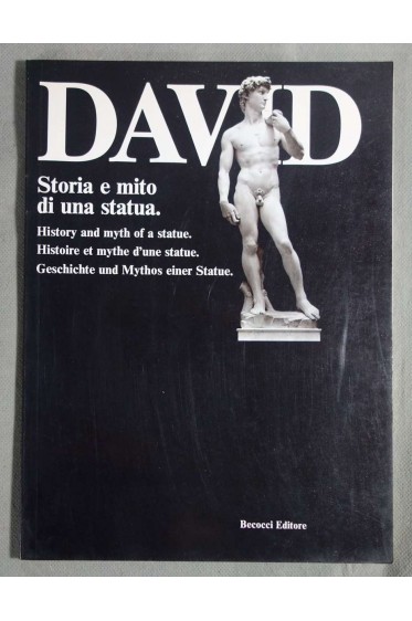 David Storia e Mito Di Una Statua (History and Myth of a Statue) [Broché]