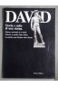 David Storia e Mito Di Una Statua (History and Myth of a Statue) [Broché]