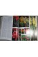 Encyclopédie pratique du jardin - Anita Pereire - Hachette