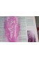 De la pérennité du couple - illustrations - Docteur Darlambach - Connaissance 1970