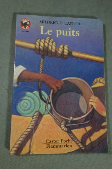 Mildred D. Taylor - Le Puits - illustrations - Castor Poche - Flammarion