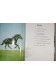 La passion des chevaux - Anne Alcock - Gründ, 1976 -