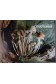 Monde Merveilleux des Champignons - H.L. Pursey - Ed. Princesse,