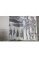Les Etats-Unis, Tome 1 - H.C. Allen - Marabout université, 1967 -