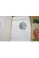 Lot Grands Peintres - Chefs-D'oeuvre De L'art - Hachette - 6 numéros - Vinci, Botticelli, Raphael...