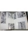 Desmaison - Professionnel du vide + Alpinisme moderne - photos figures - Arthaud