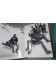 Desmaison - Professionnel du vide + Alpinisme moderne - photos figures - Arthaud