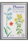Plantes des champs et des forêts 