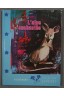 L'Alpe enchantée - Micheline Morin - Delagrave, 1978, coll. Gentiane -