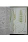 Guide Delachaux des fleurs de France et d'Europe - David Streeter -