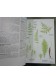 Guide Delachaux des fleurs de France et d'Europe - David Streeter -