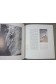 Pierre Allain, pure lumière du rocher -