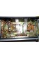 BST 7-Band Stereo Graphic Equalizer CK20ES + Spectrum analyzer - égaliseur graphique vintage