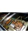 BST 7-Band Stereo Graphic Equalizer CK20ES + Spectrum analyzer - égaliseur graphique vintage