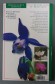 Fleurs de montagne - Jean-Marie Polese - Artémis, 2003 -