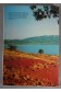 Découverte du Haut-Languedoc - Jean Mercadier - 1973, illustré -